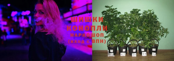 герыч Мегион