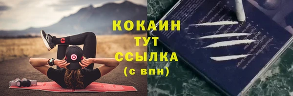 герыч Мегион
