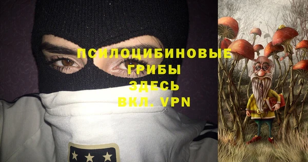 мдпв Медвежьегорск
