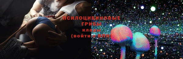 герыч Мегион