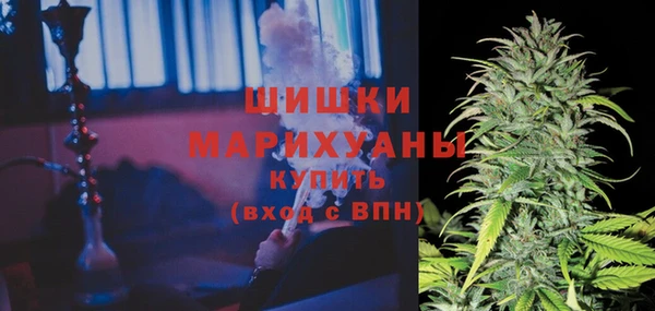 apvp Медногорск